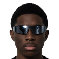 Reflective Panoramic Glasses